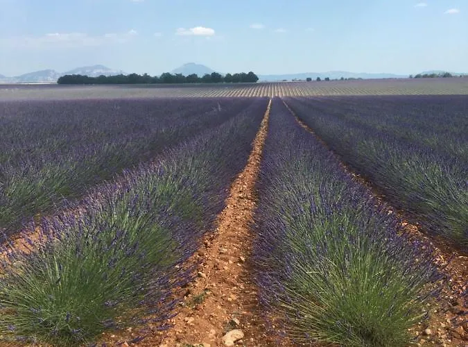 营地 Manaysse 穆斯捷-圣玛丽